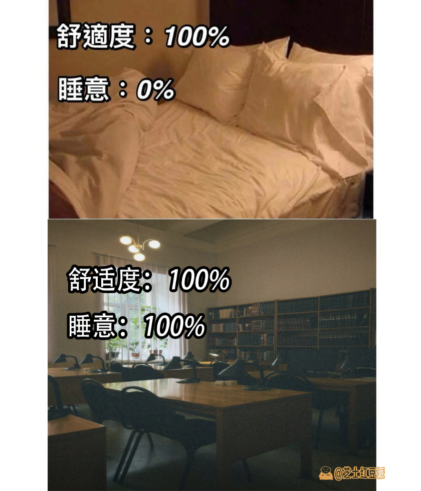 图书馆才是最舒服的地方#meme# ​​​