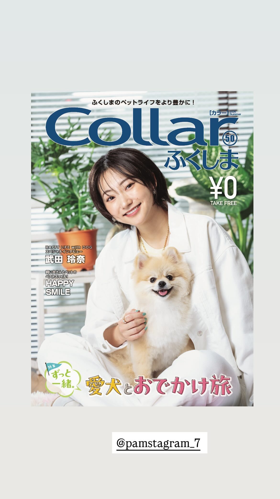 武田玲奈collar杂志 