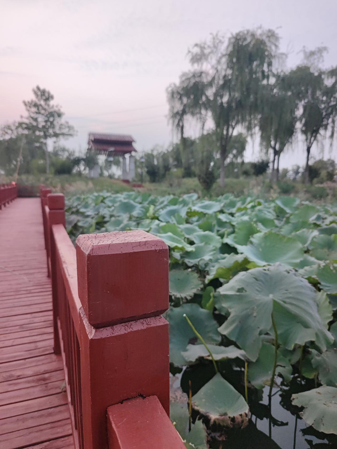 生活里不认输，岁月里不低头。觉得风景不够好，那么向前多走几步，如果道路坎坷，那就
