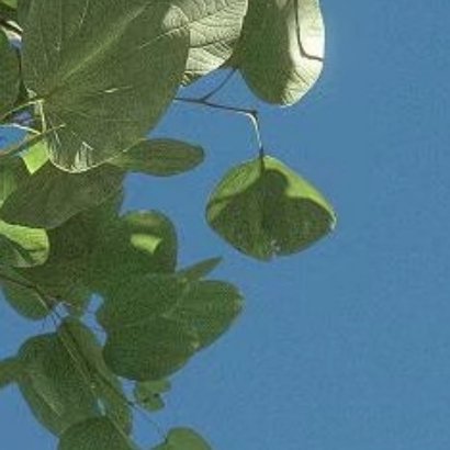 生活就是这样，别人只看结果，自己独撑过程，面对生活，我们除了坚强，就是继续，别无