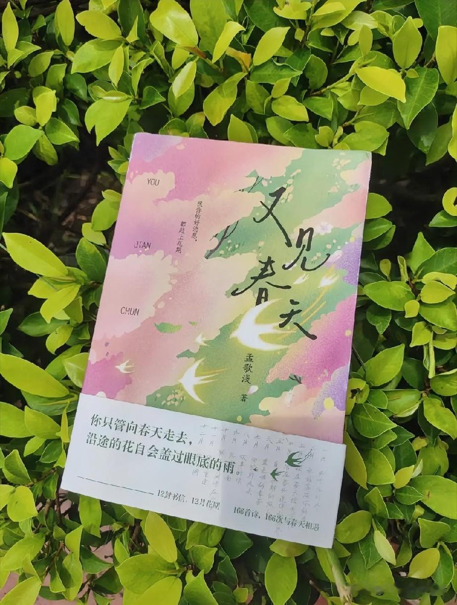 不必奔赴远方寻觅风景，一卷好书在手，便可寻得清凉天地。书中文字干净澄澈，褪去繁复
