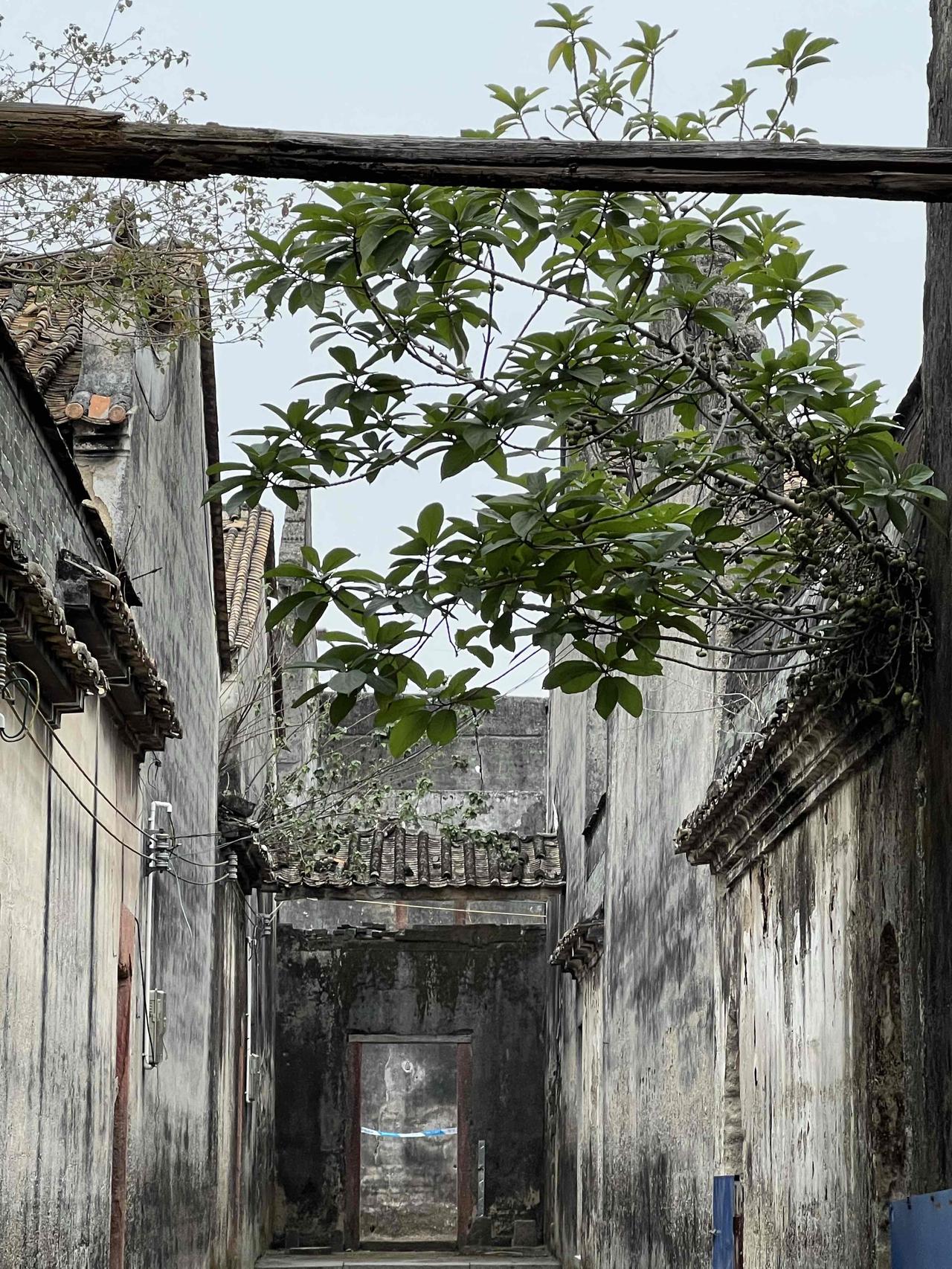 一人一句新年祝福岁月如梭，历史沿革！