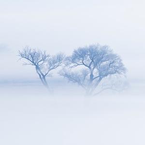 暮霭赏霞光