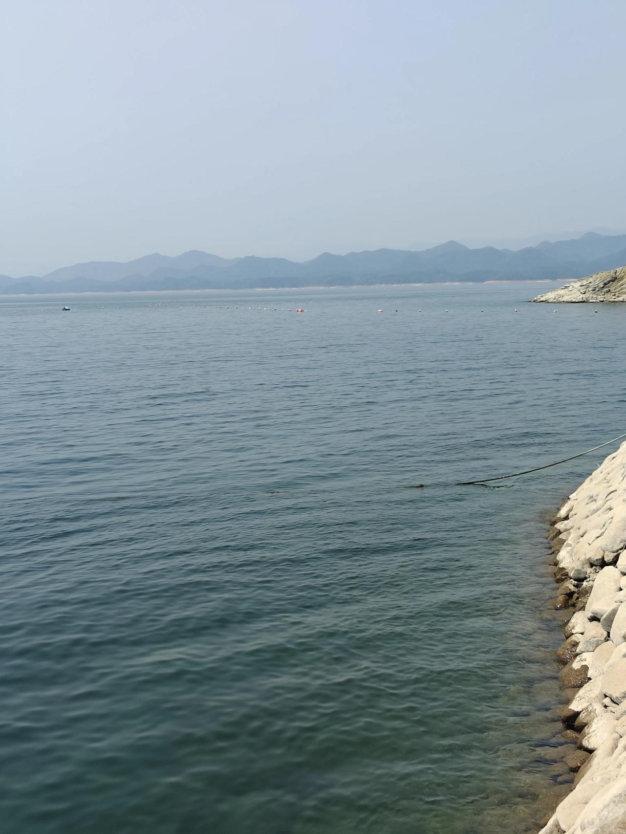 风轻云淡，日子缓缓，愿这一年，安稳自在，不慌不忙，万事顺意。