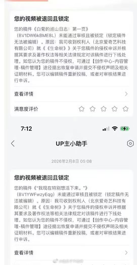 杨紫生命树相关二创视频被退回杨紫生命树二创视频被退回 ？？杨紫生命树相关二创视频