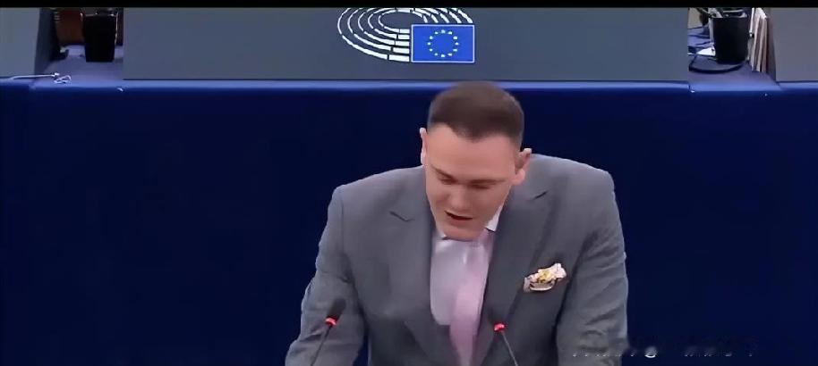 欧盟会议上的紧张一刻：发言人要求冯德莱恩辞职!压根没有发言人在会议上当场喊冯德莱