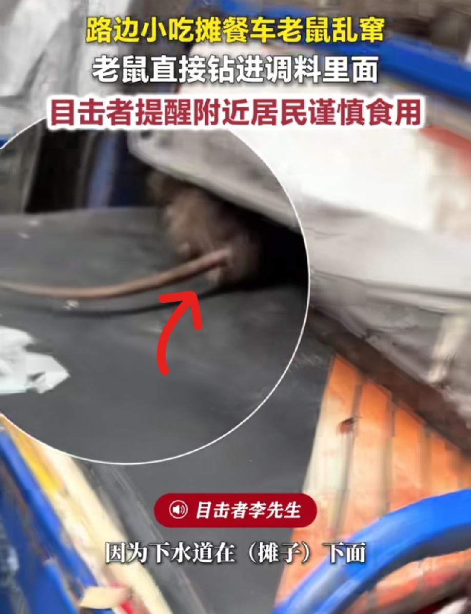 这也太差劲了吧？
路边摊小吃车上老鼠乱窜，钻进调料罐子里面，目击者拍视频提醒附近