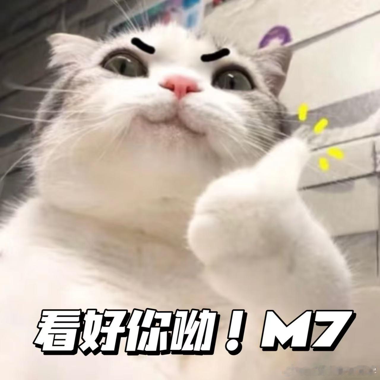 为何年轻人开始好饭不怕等现在年轻人买车特别理性，都想既要又要还要，没看到真正满意
