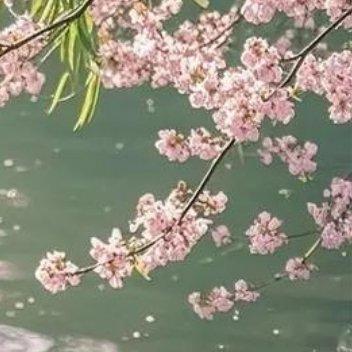 正是我此前给出的每一滴水，如今都汇成了江江江江，河河河河，湖湖湖湖，海海海海 