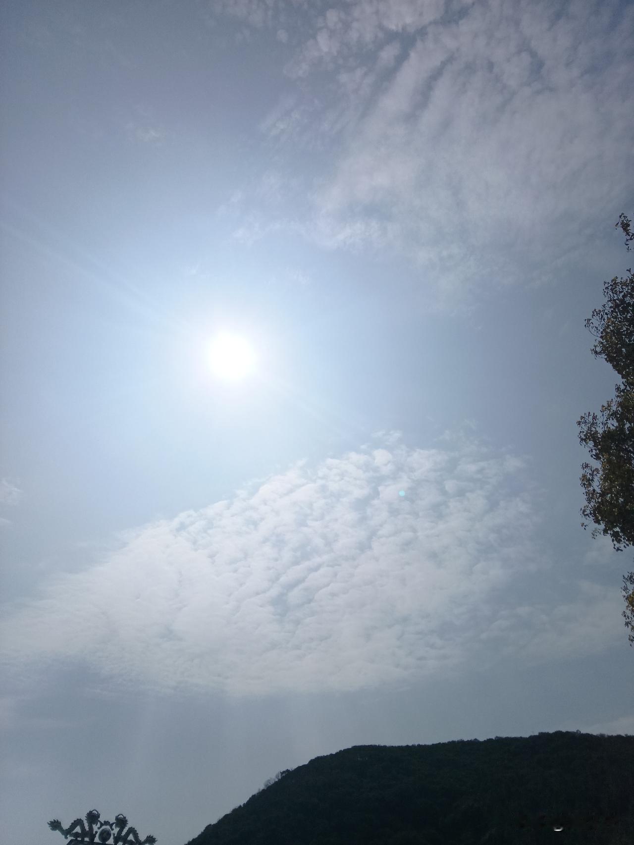 他一是美国外交政策的执行者。但他对特朗普又爱又恨。他能坐上国务卿这个位置，是需要