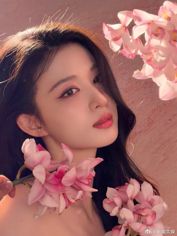 王楚然突然出现美我一下王楚然花美人更美王楚然今日晒图杀疯了！突然出现的她站在花海