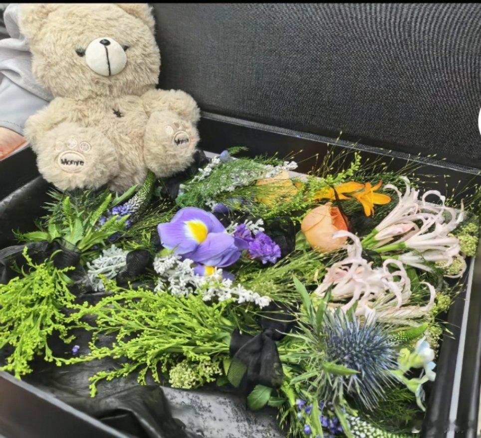 黄星 邱鼎杰 李沛恩 江衡可惜你不看垂涎，也不知道这四种花的意义[捂嘴哭] ​​