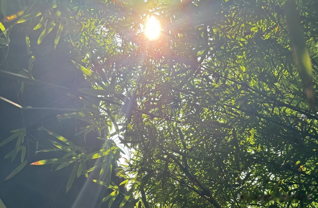 ❤️80后的人生，一半是责任，一半是自愈。年轻时拼命往前冲，以为努力就能万事顺遂