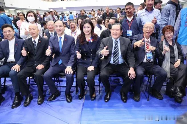 郑丽文接手负债累累的中国国民党

国民党新任主席郑丽文今1日将正式就职，国民党今