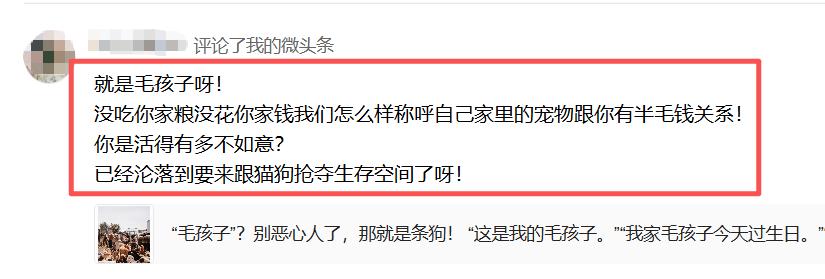 “毛孩子”说不得？这位爱狗人士的“口德”，比狗嘴还脏！
“就是毛孩子呀！没吃你家