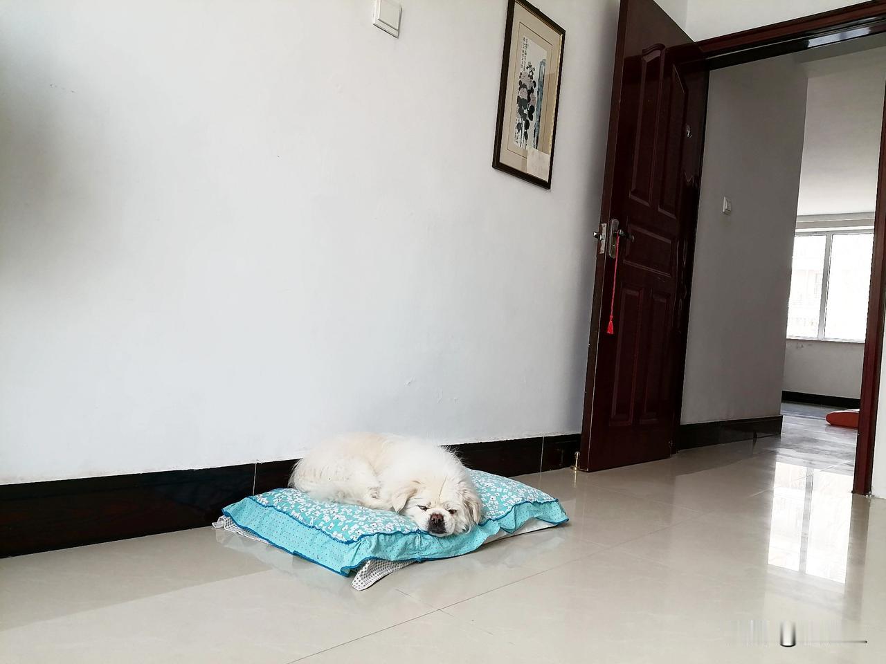 今天一整天，我什么吃的也没买，我的任务就是把家里的食物，都吃掉。

冰箱里有一棵