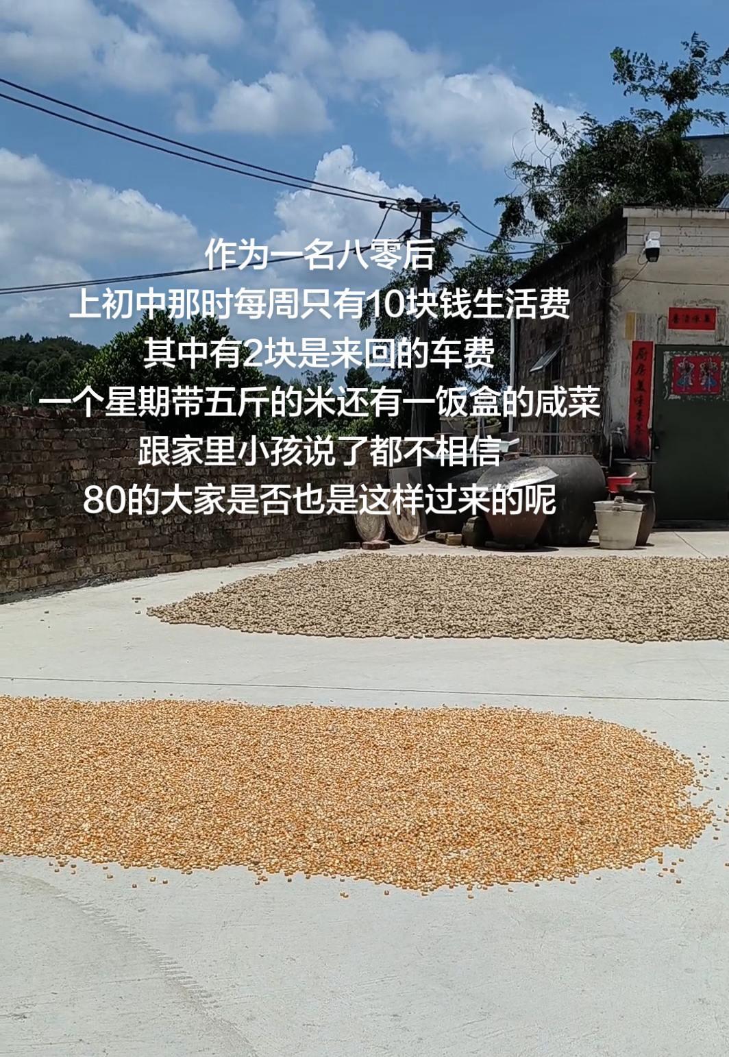 作为一名八零后
上初中那时每周只有10块钱生活费
其中有2块是来回的车费
一个星