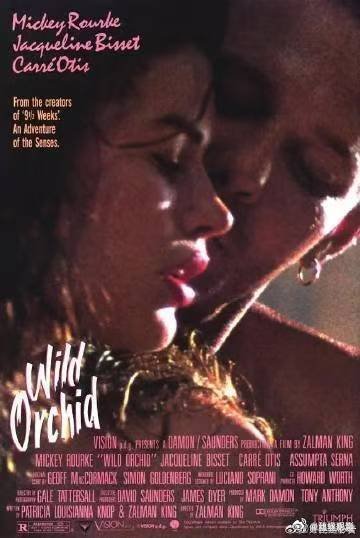 继爱你九周半后米基洛克又一经典大尺度情S作品《野兰花/Wild Orchid》（