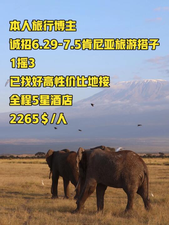旅游博主摇人！6.29-7.5肯尼亚1摇3🐘