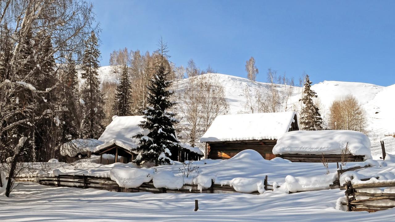 以及远处巍峨的雪山，组成了一幅生动自然的美丽画卷，让人忘记了寒冷，沉醉于美景之中