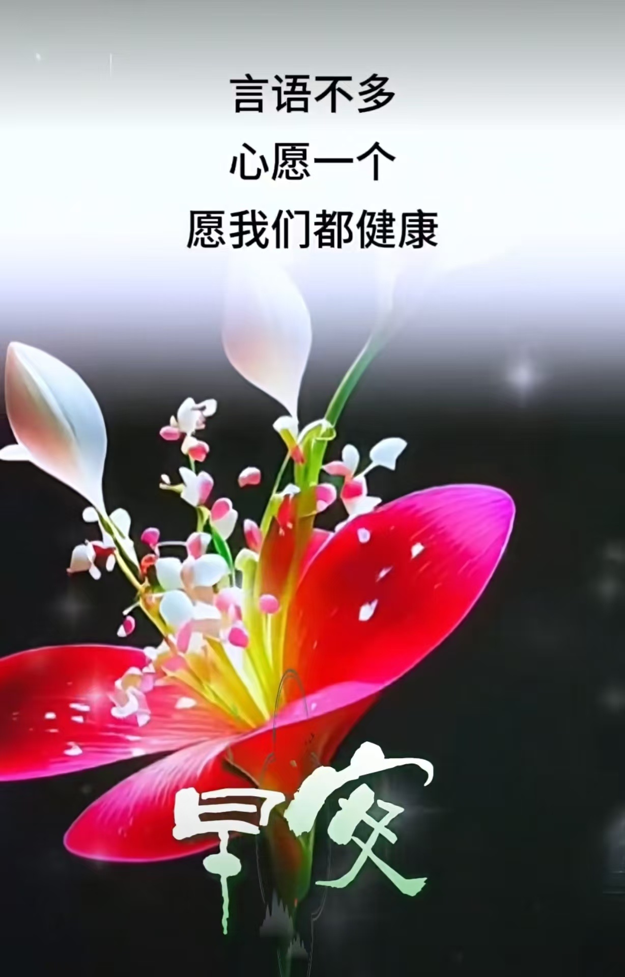 分享图片 