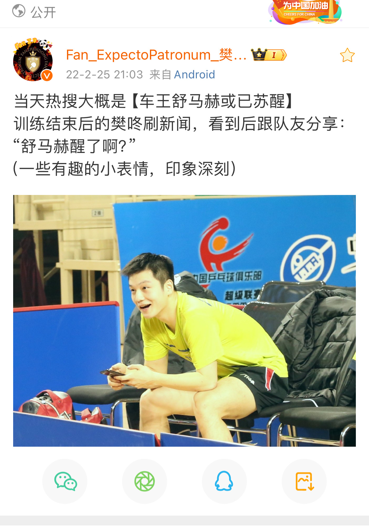 樊振东什么都看 