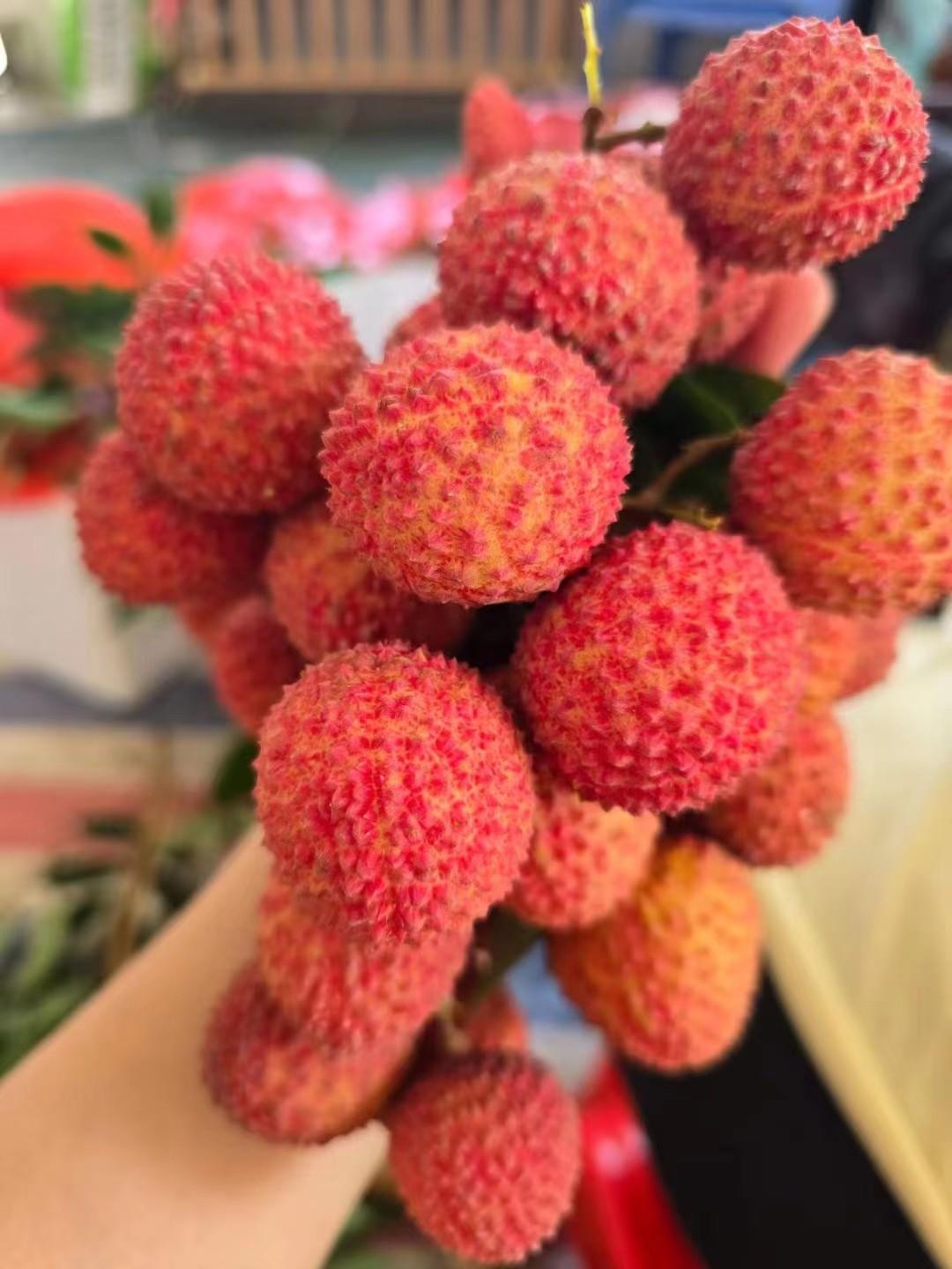 枝头鲜摘桂味荔，满嘴桂花自然甜！