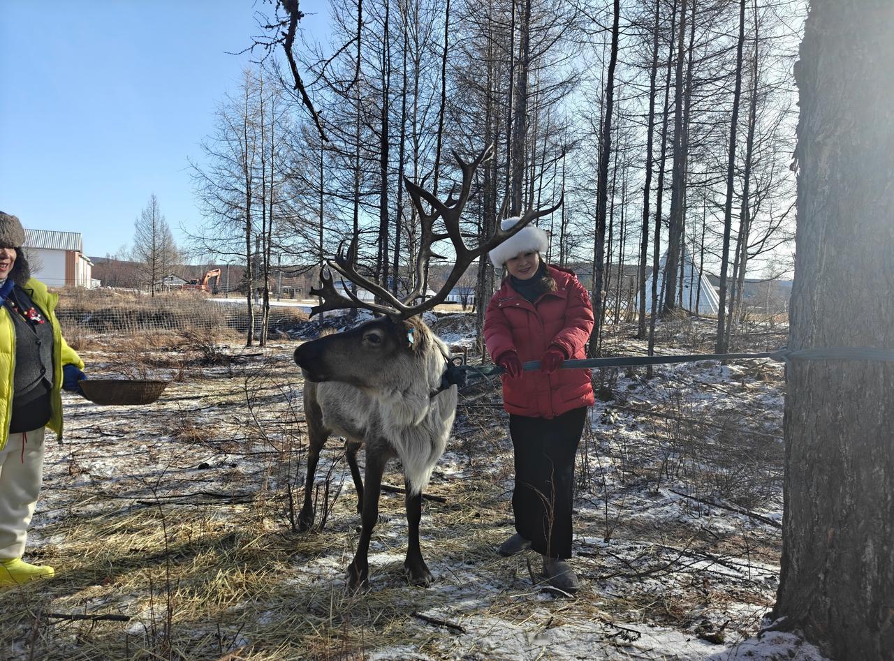 追风行者自驾呼伦贝尔拥抱初雪队，今日到达冷极村。在全国气温最低的地点。和东北著名