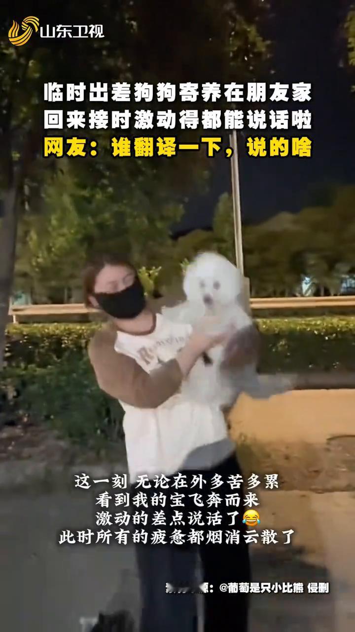临时出差狗狗寄养在朋友家，回来接时激动得都能说话啦。网友：谁翻译一下，说的啥？