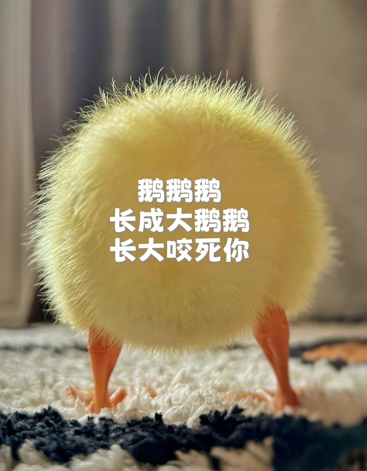 恍恍惚惚不恍惚