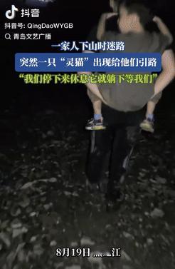 万物皆有灵性！黑龙江，一家三口突发奇想去爬山，结果却不慎迷了路，眼看天都黑了，还