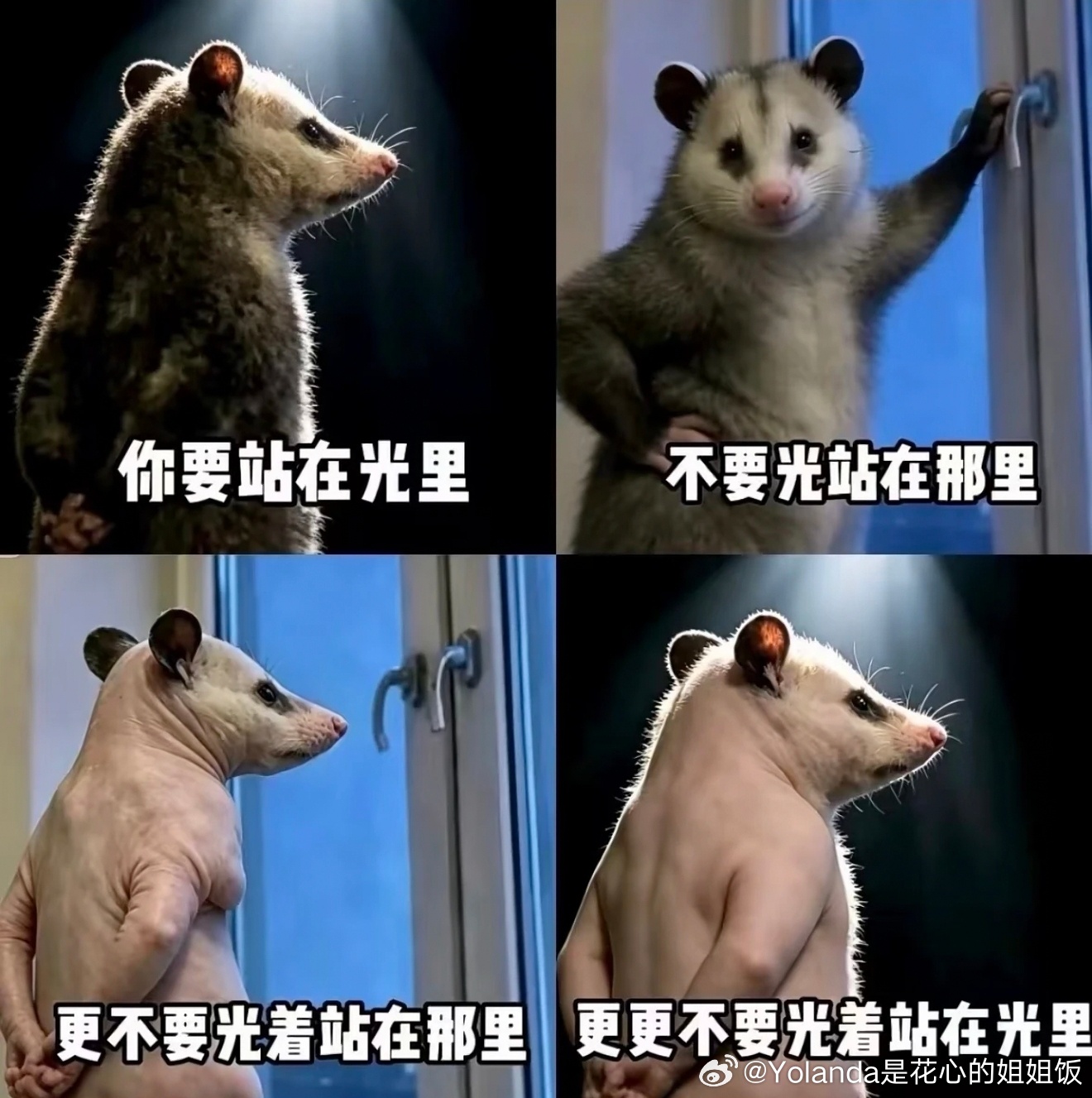 哈哈哈哈哈哈哈
