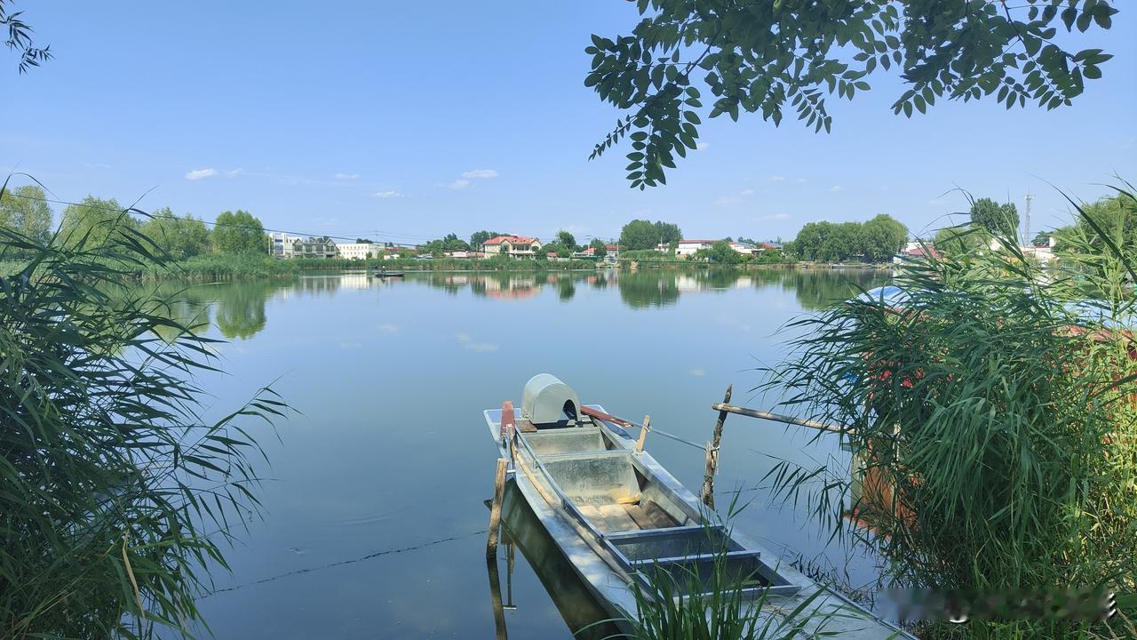 2026 年 6 月 5 日/6 日，河北雄安新区安新县圈头乡。农历的四月二十一