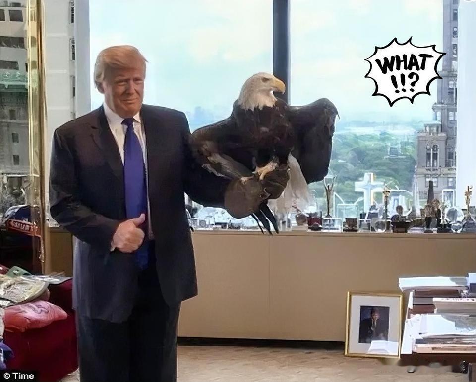 最新快讯！
特朗普宣布了

美国斥16亿美元注资本土稀土公司（2.77亿美元直接