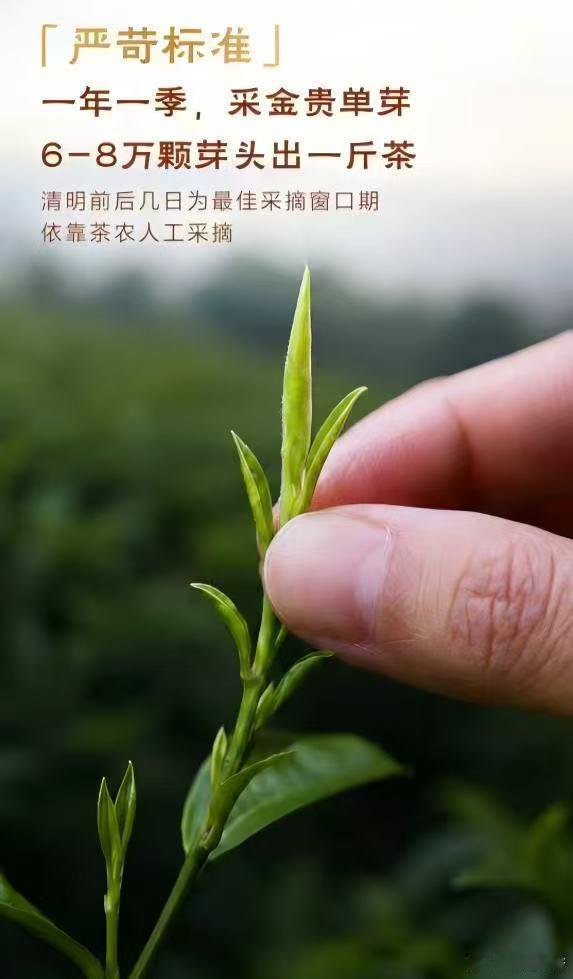 如何幸福地度过一周厌倦了各式甜腻饮品，渐渐爱上原叶茶的本真滋味。这周如愿入手限量