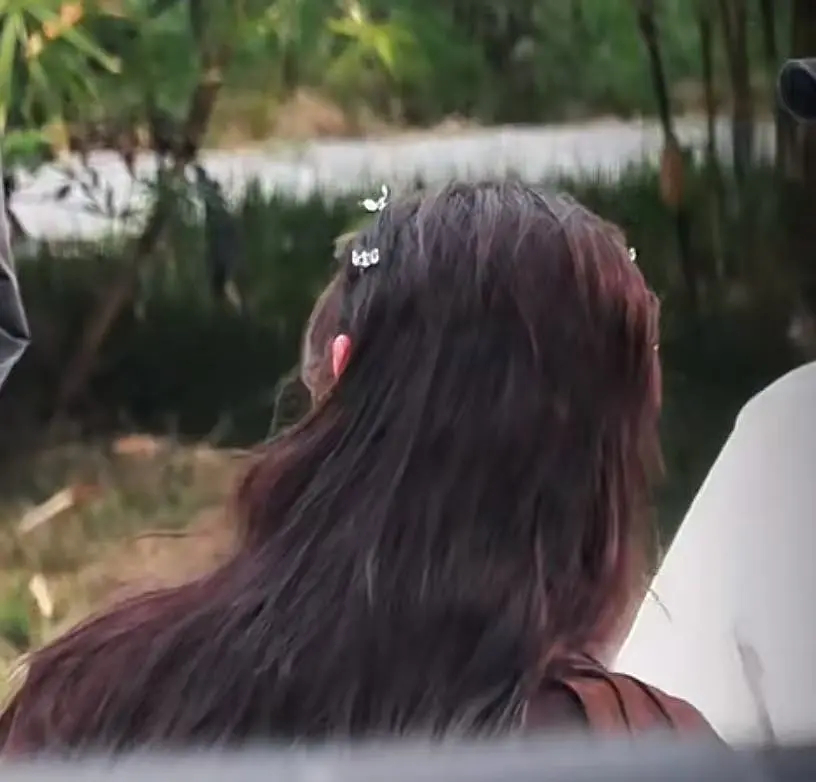 皑酱完全小公主来的吧，头顶幻视蝴蝶形小发卡 