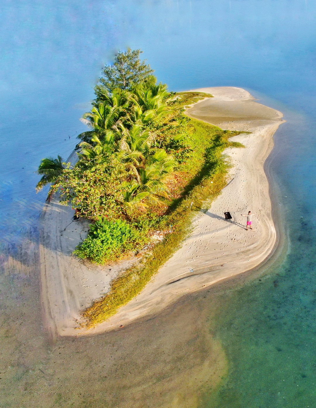 陵水无人岛🏝️我宣布这里海南赶海玩水天花板，海星自由岛性价比之王🐎住闭眼冲
...
