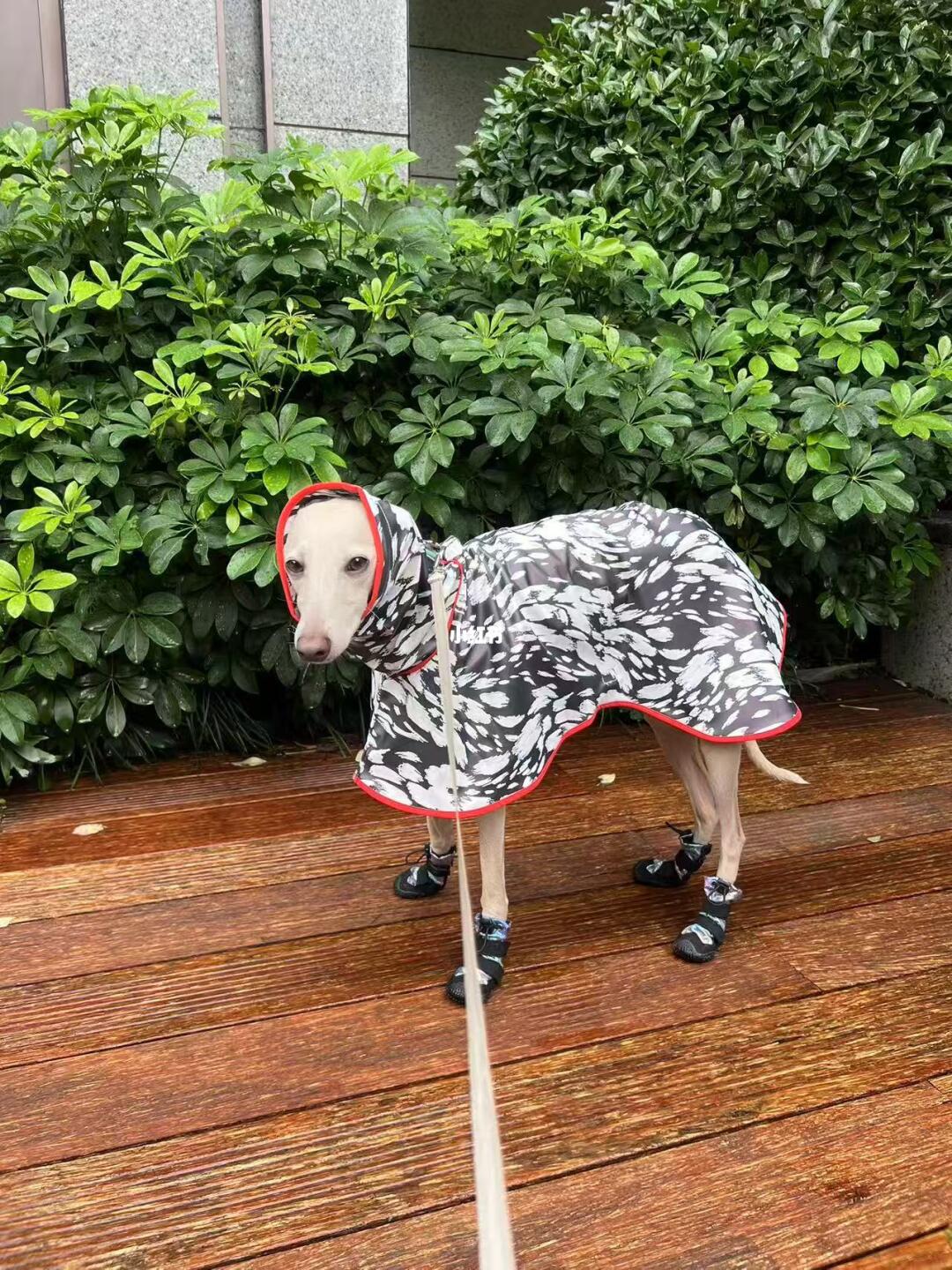 喜欢下雨天☔️