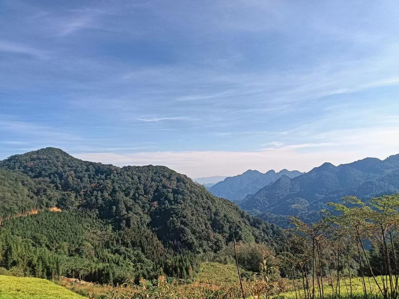 给朋友们分享一下我随手拍的美照，请多多点赞