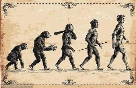 为什么人类进化了好几千年，漂亮依然是稀缺的呢？
人类经过数百万年演化，外貌吸引力