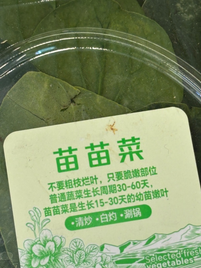 张婧仪完全是一个热爱生活的萌萌小女孩 