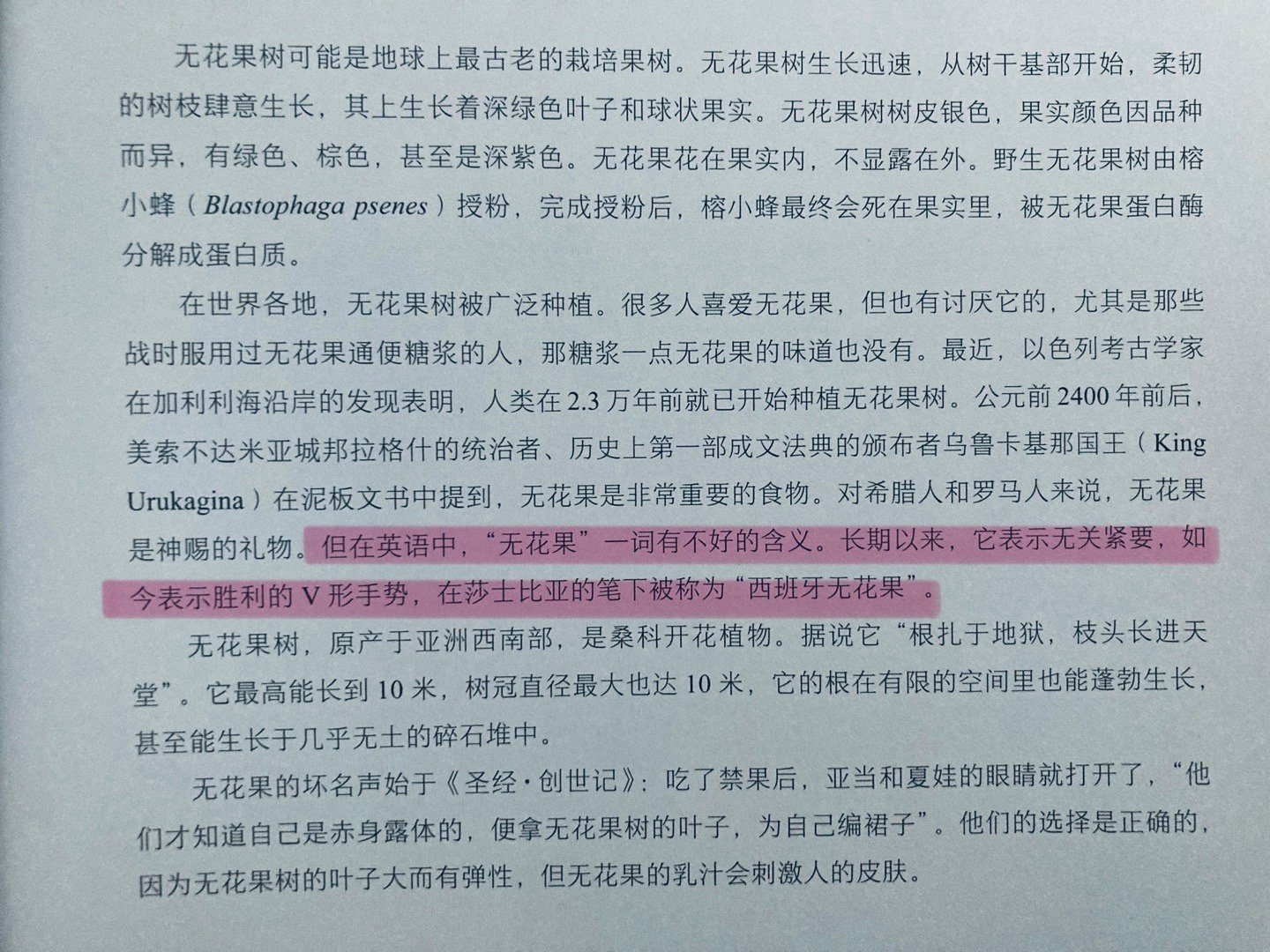 not give/care a fig 无关紧要，毫不在乎 ​​​