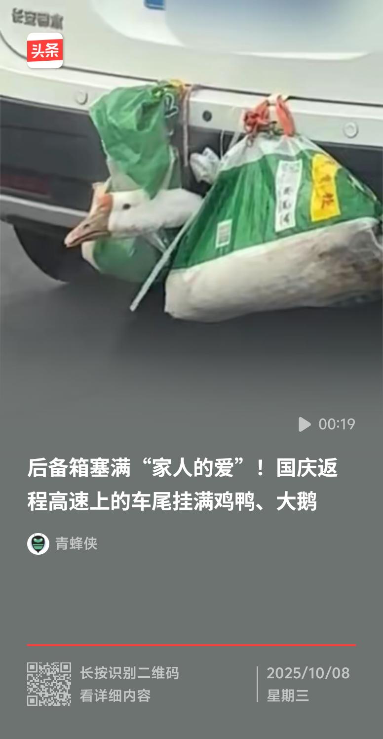 正月十五前后返程高峰，高速上好多车尾挂满鸡鸭大鹅，网友后备箱也都被父母塞得满满当