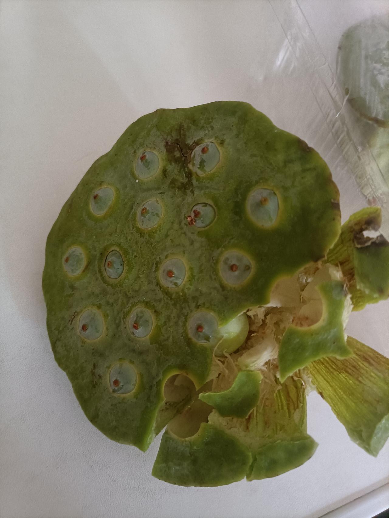 偶然发现，线上有卖带莲蓬的莲子，三朵10元钱，小时候的味道扑上心头，于是买了三朵