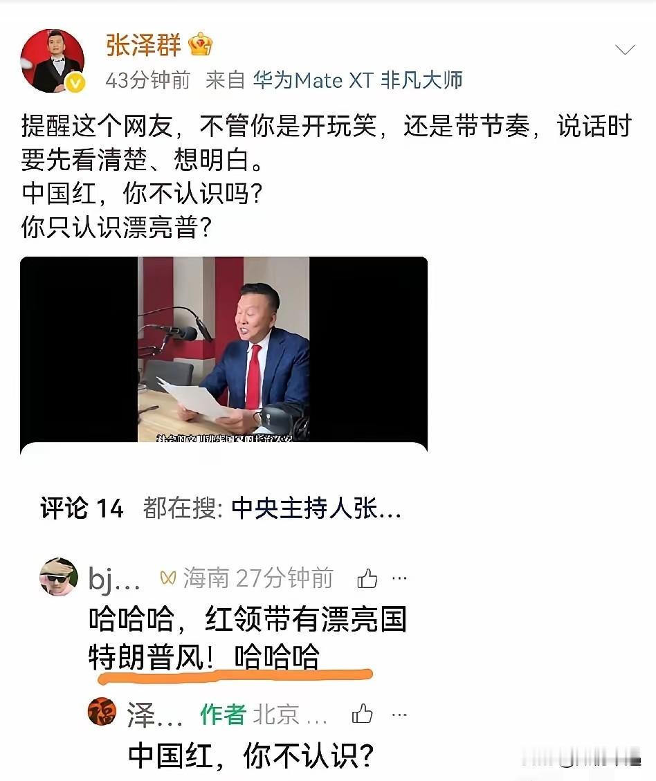 央视主持人张泽群的一条回怼，让无数人直呼“说得太解气”！有网友竟调侃他的领带有“