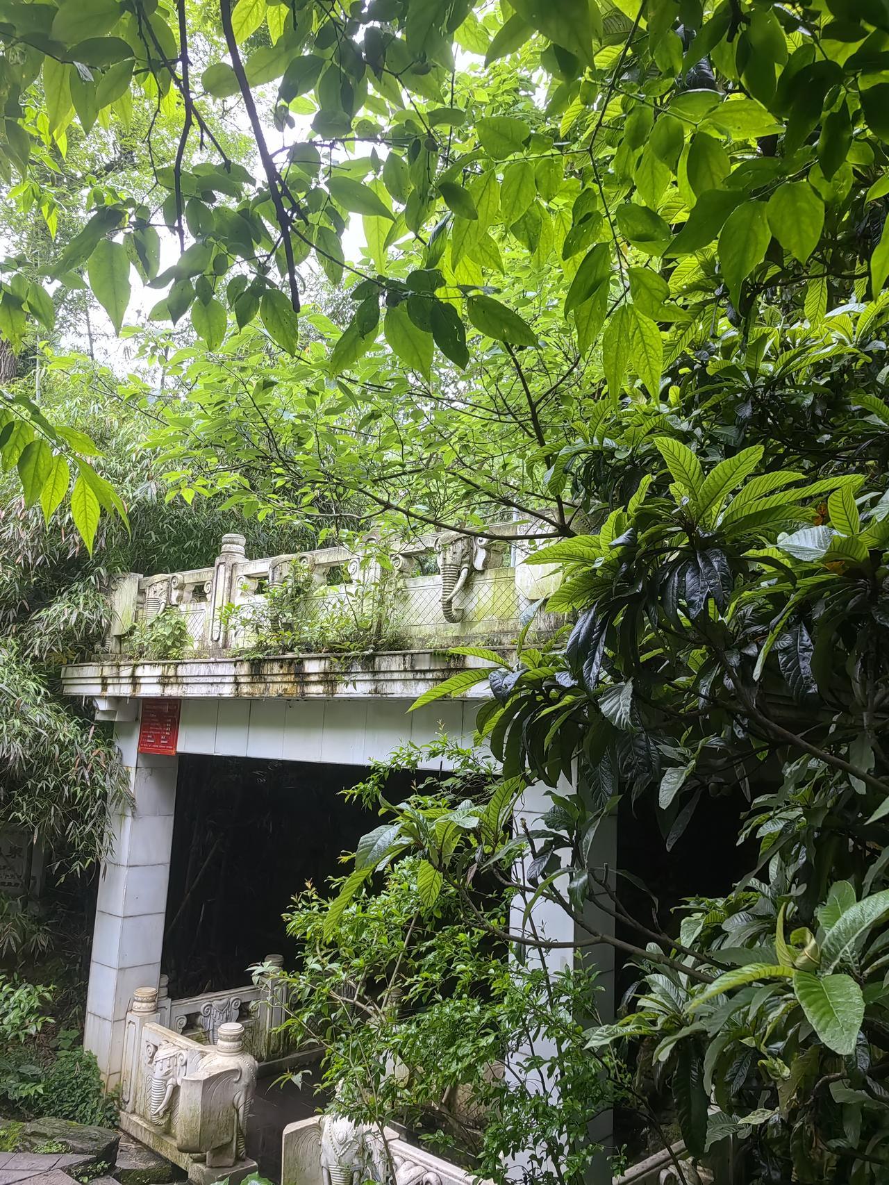 这里的灵犀居然来自大自然的和谐与野生猕猴的彬彬有礼，也令人感到啥是绿水青山就是金