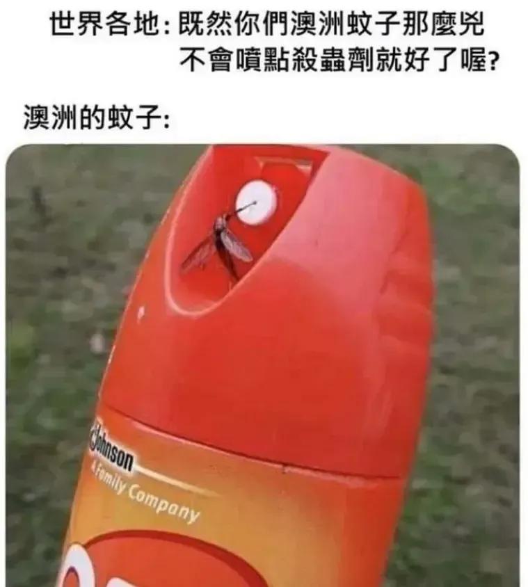 贴脸开大是吧[捂脸]