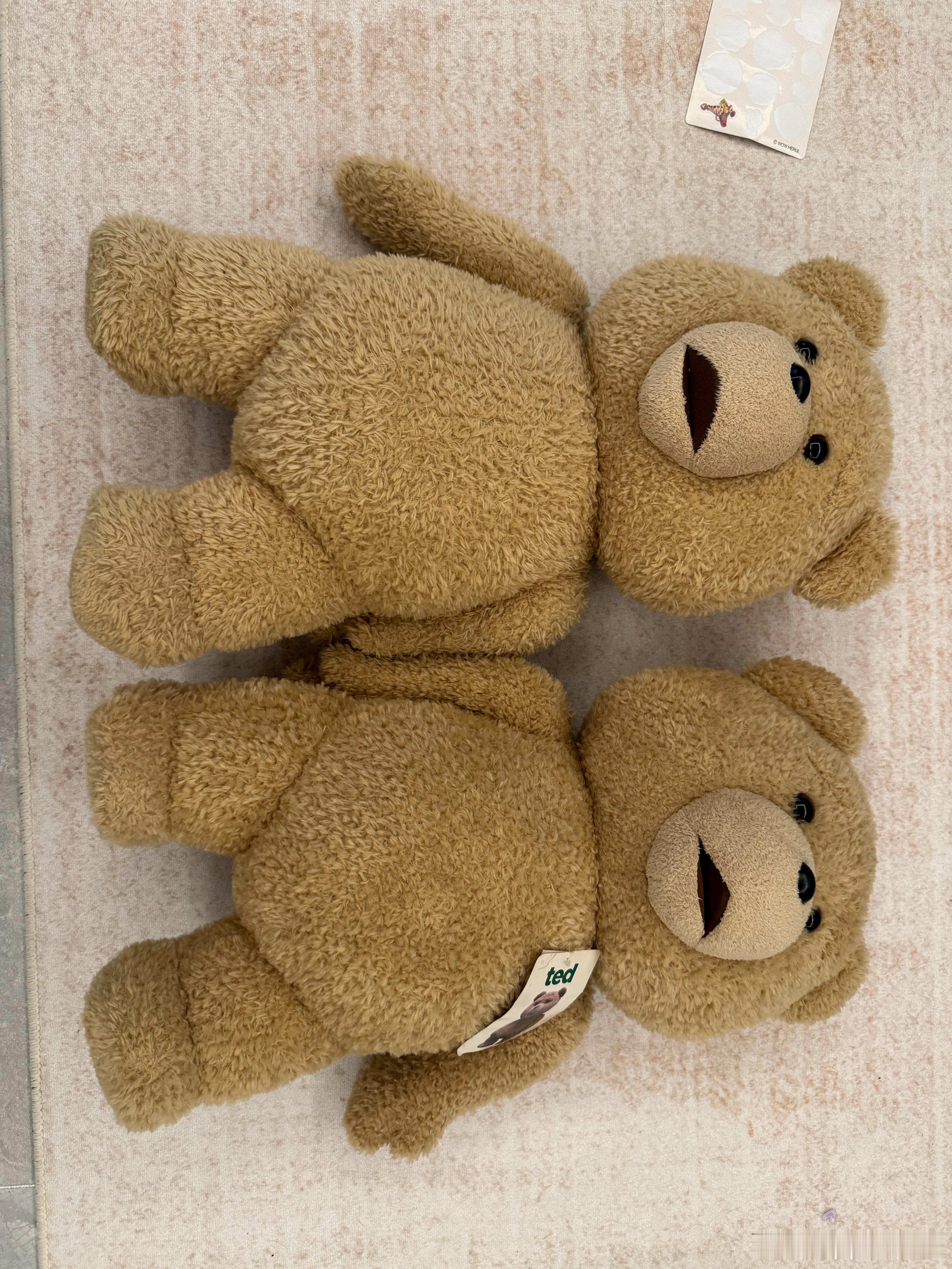 有没有家有小朋友喜欢这个熊的。0元 邮费到付。 