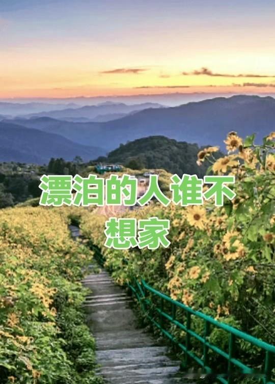 一曲《漂泊的人》，道尽异乡人的万般无奈
 
《漂泊的人》歌词朴素却直击人心，唱哭