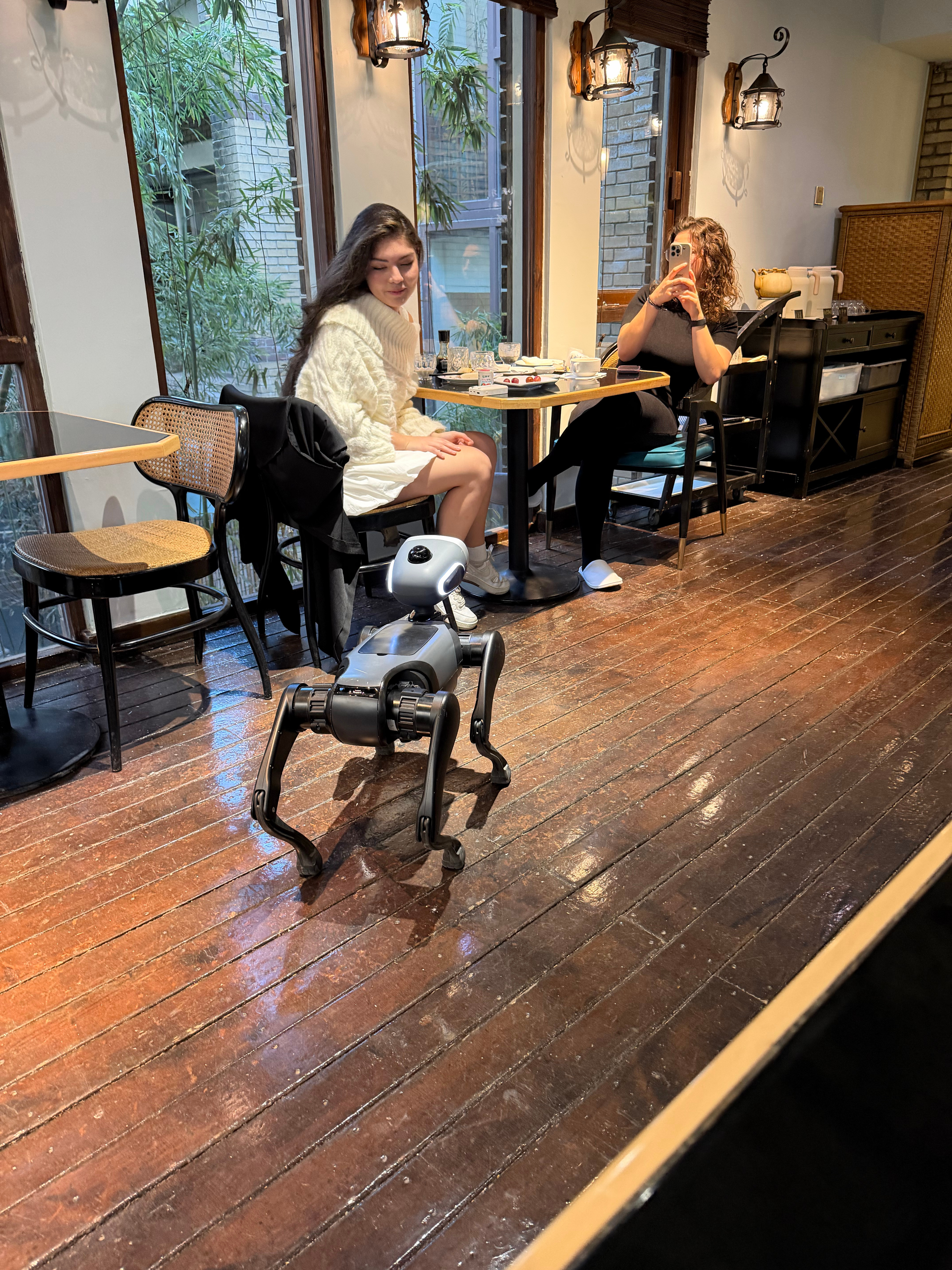 第一时间记录了大头BOBO 要微信的瞬间 